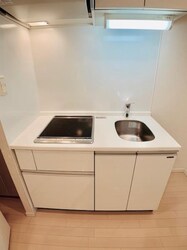 リアルスウィート三軒茶屋の物件内観写真